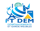 FT DEM