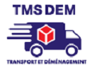 TMS DEM